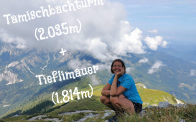 Tamischbachturm – Ennstaler Alpen